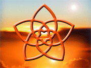 Venus Flower